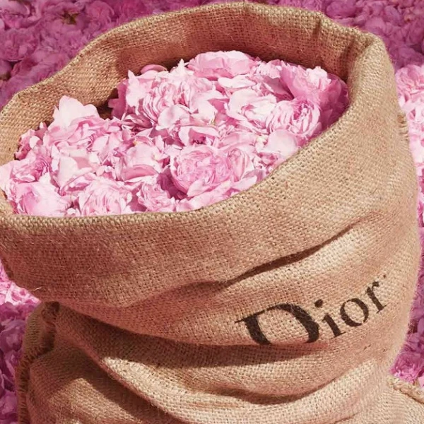 Fragrance Review: Dior – Miss Dior